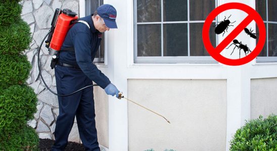 Çamlıyayla Bit İlaçlama böcek ilaçlama ve haşere kontrolü — ilaclama-tr.com